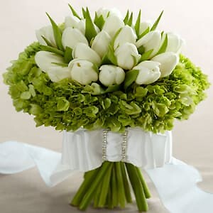Sunningdale White and Green Bridal Bouquet