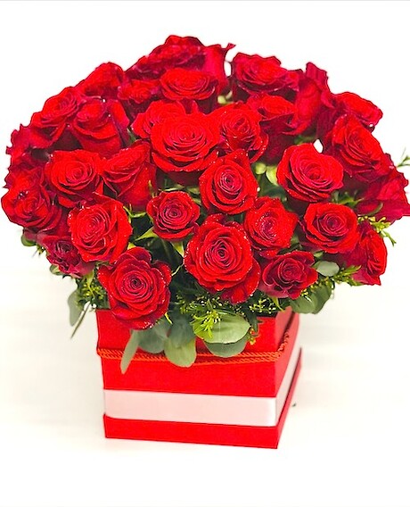 50 red rose box