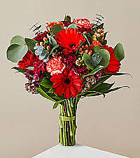 Cabernet red fresh floral bouquet