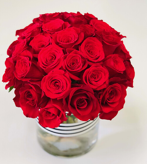 You are perfect red roses