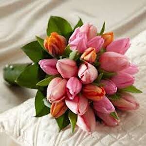Embraceable Mix Tulips Bridal Bouquet