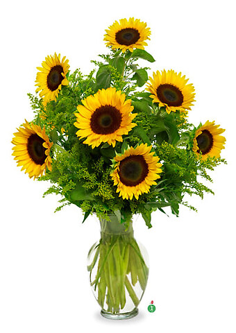 Snazzy Sunflowers