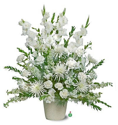 Pure Whites
