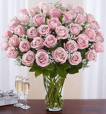 4 Doz of pink roses
