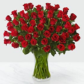 50  Long stems of red or any color roses
